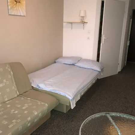 Plaza Park 德兹维济诺